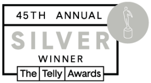 Telly 45th Winners Badges silver winner