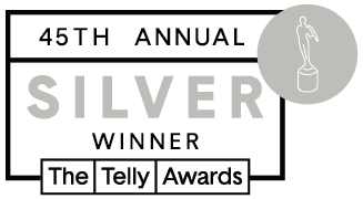Telly 45th Winners Badges silver winner
