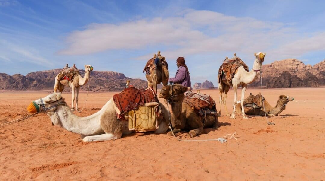 In the breathtaking expanse of Wadi Rum, where film tourism meets deep nomadic rhythms, discover stories rarely told. 